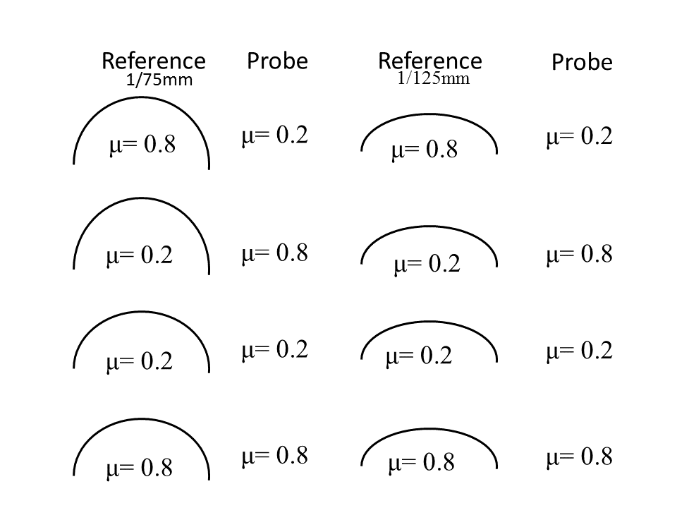 Haptic shape perception